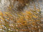 Yellow warning of wind throughout the country 