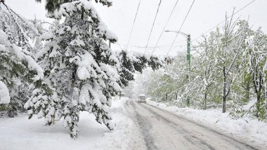Zoo, Botanical Garden closed for visitors