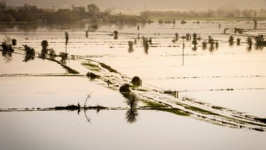 Flood defence plans heavily favour London and south-east