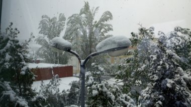 Authorities’ declarations on harvest AFFECTED of bad weather