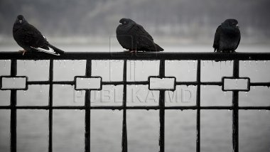 Weather Forecast for coming days in Moldova