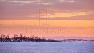 Crops of corn and sunflower IN DANGER after spring blizzard