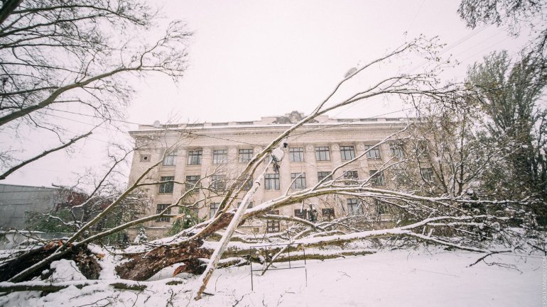 SECOND day of snowstorm in Moldova. Blizzard SHUTS DOWN most of the country (PHOTO/VIDEO)