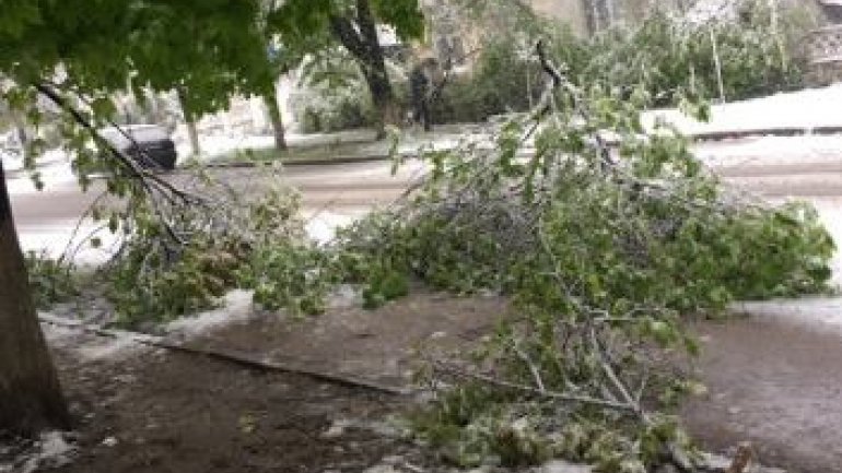 April snow causes HAVOC in Moldova (PHOTO/VIDEO)