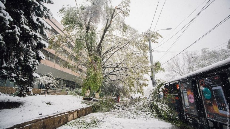 April snow causes HAVOC in Moldova (PHOTO/VIDEO)