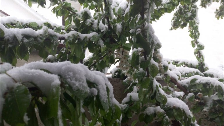 April snow causes HAVOC in Moldova (PHOTO/VIDEO)