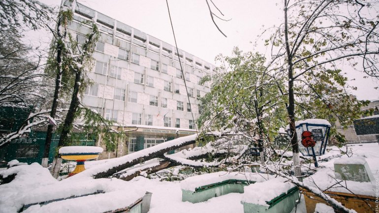 SECOND day of snowstorm in Moldova. Blizzard SHUTS DOWN most of the country (PHOTO/VIDEO)