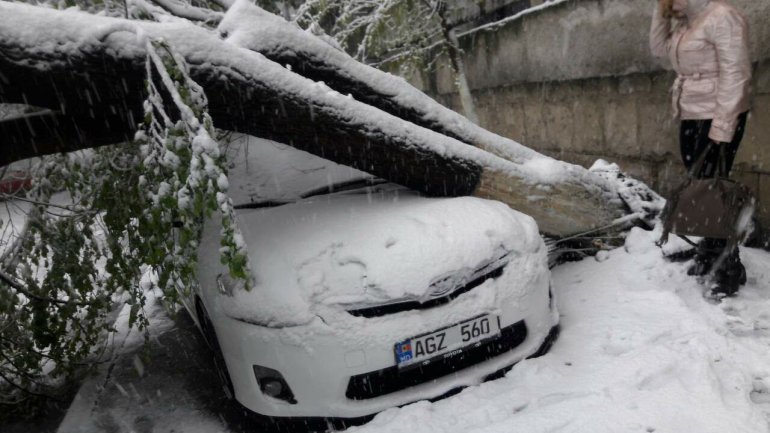 April snow causes HAVOC in Moldova (PHOTO/VIDEO)