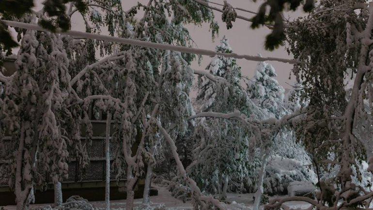 SECOND day of snowstorm in Moldova. Blizzard SHUTS DOWN most of the country (PHOTO/VIDEO)