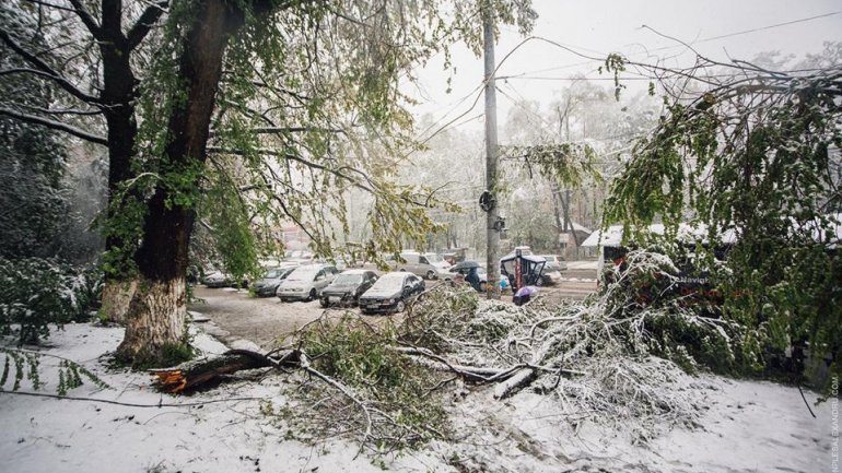 April snow causes HAVOC in Moldova (PHOTO/VIDEO)