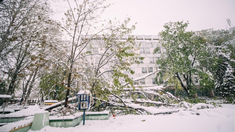 SECOND day of snowstorm in Moldova. Blizzard SHUTS DOWN most of the country (PHOTO/VIDEO)