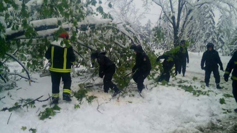 Ministry of Internal Affairs employees provide help to citizens in need (PHOTOREPORT)