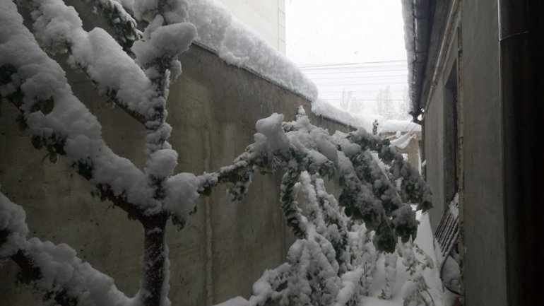 SECOND day of snowstorm in Moldova. Blizzard SHUTS DOWN most of the country (PHOTO/VIDEO)