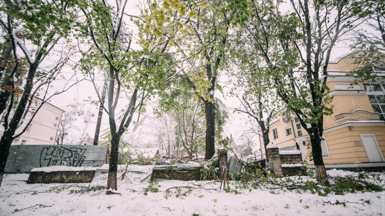 SECOND day of snowstorm in Moldova. Blizzard SHUTS DOWN most of the country (PHOTO/VIDEO)