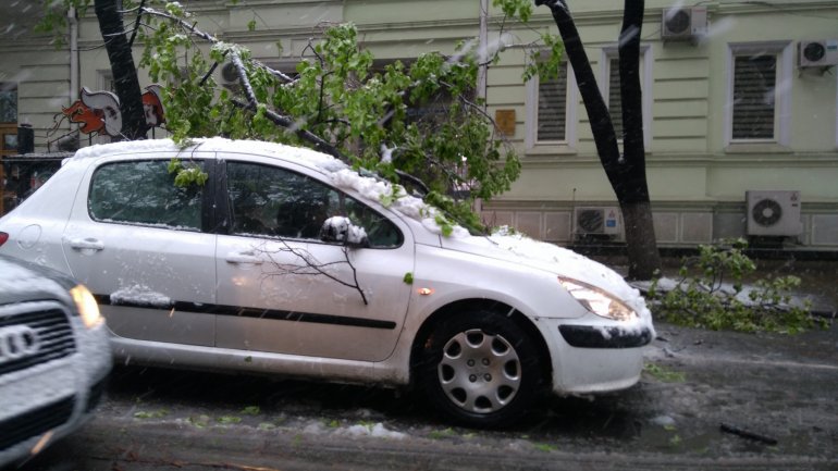 April snow causes HAVOC in Moldova (PHOTO/VIDEO)