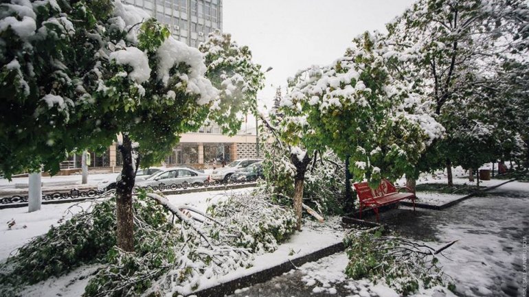 April snow causes HAVOC in Moldova (PHOTO/VIDEO)