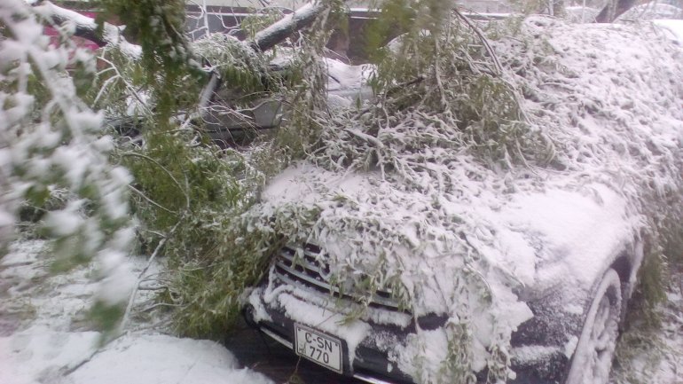 April snow causes HAVOC in Moldova (PHOTO/VIDEO)