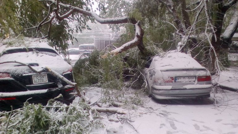 April snow causes HAVOC in Moldova (PHOTO/VIDEO)