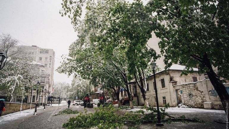 April snow causes HAVOC in Moldova (PHOTO/VIDEO)