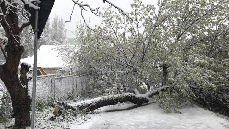 April snow causes HAVOC in Moldova (PHOTO/VIDEO)