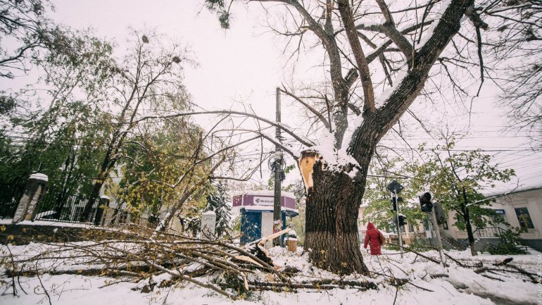 SECOND day of snowstorm in Moldova. Blizzard SHUTS DOWN most of the country (PHOTO/VIDEO)