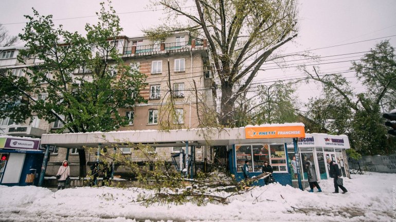 SECOND day of snowstorm in Moldova. Blizzard SHUTS DOWN most of the country (PHOTO/VIDEO)