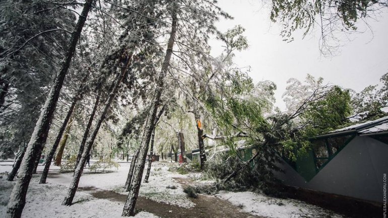 April snow causes HAVOC in Moldova (PHOTO/VIDEO)