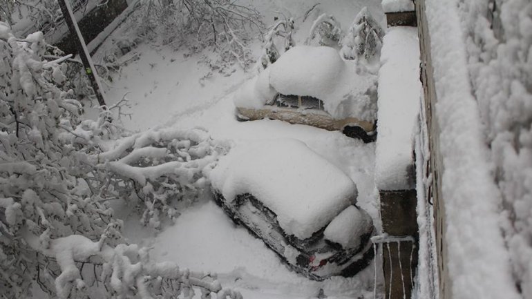 SECOND day of snowstorm in Moldova. Blizzard SHUTS DOWN most of the country (PHOTO/VIDEO)