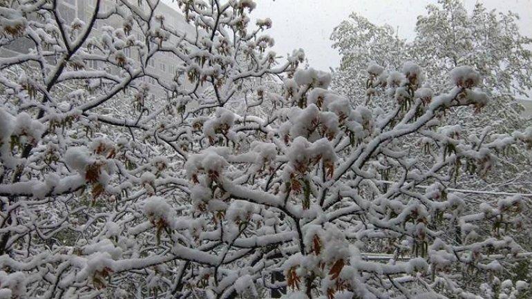 April snow causes HAVOC in Moldova (PHOTO/VIDEO)