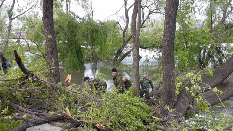 Situation in Chisinau, following blizzard: 10,000 fallen trees and 124 pillars knocked down