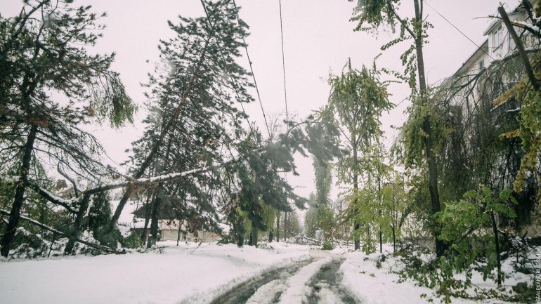 SECOND day of snowstorm in Moldova. Blizzard SHUTS DOWN most of the country (PHOTO/VIDEO)