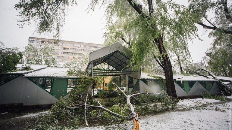 April snow causes HAVOC in Moldova (PHOTO/VIDEO)