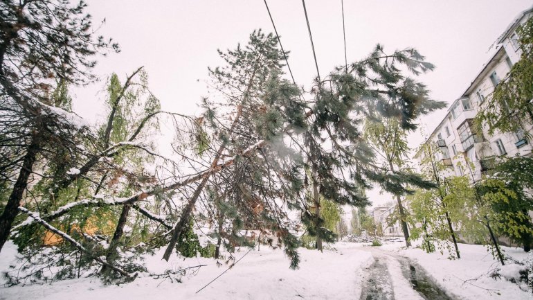 SECOND day of snowstorm in Moldova. Blizzard SHUTS DOWN most of the country (PHOTO/VIDEO)