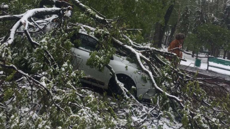 April snow causes HAVOC in Moldova (PHOTO/VIDEO)