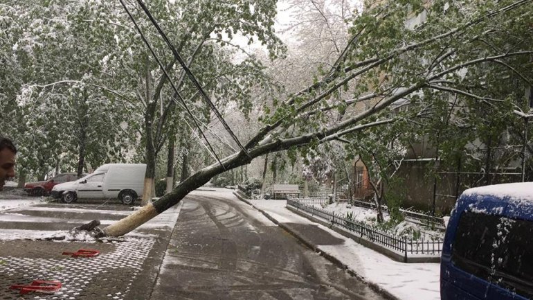 April snow causes HAVOC in Moldova (PHOTO/VIDEO)