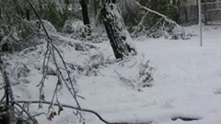 SECOND day of snowstorm in Moldova. Blizzard SHUTS DOWN most of the country (PHOTO/VIDEO)