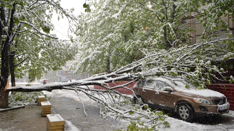 April snow causes HAVOC in Moldova (PHOTO/VIDEO)