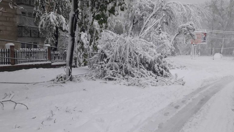 SECOND day of snowstorm in Moldova. Blizzard SHUTS DOWN most of the country (PHOTO/VIDEO)