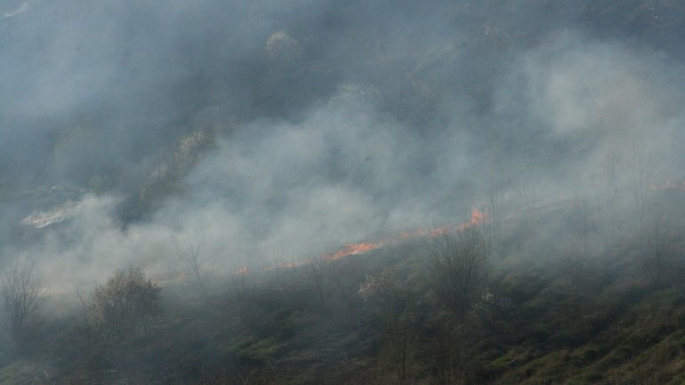 Details about outbreak of vegetation fire in Ciocana sector 