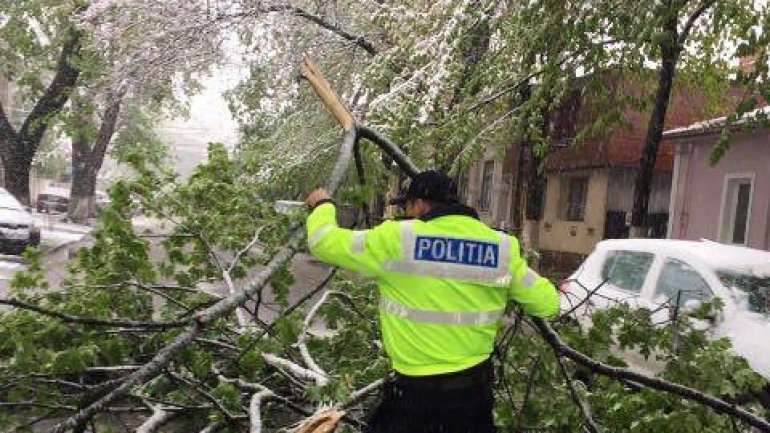 April snow causes HAVOC in Moldova (PHOTO/VIDEO)