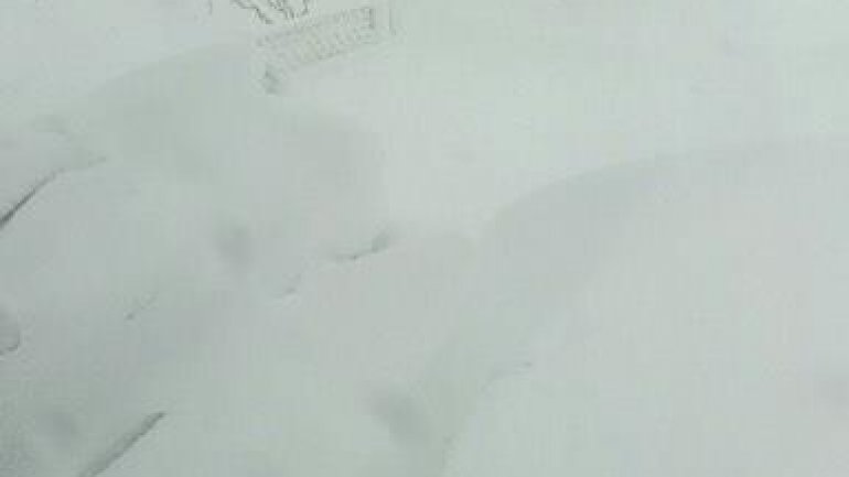 SECOND day of snowstorm in Moldova. Blizzard SHUTS DOWN most of the country (PHOTO/VIDEO)