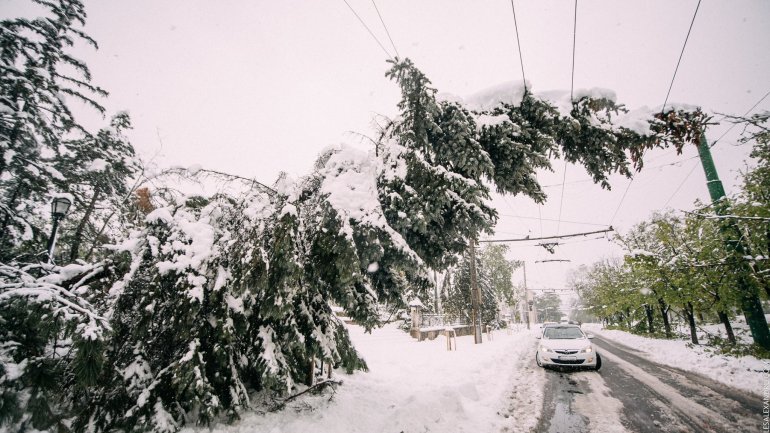 SECOND day of snowstorm in Moldova. Blizzard SHUTS DOWN most of the country (PHOTO/VIDEO)