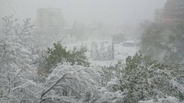 SECOND day of snowstorm in Moldova. Blizzard SHUTS DOWN most of the country (PHOTO/VIDEO)