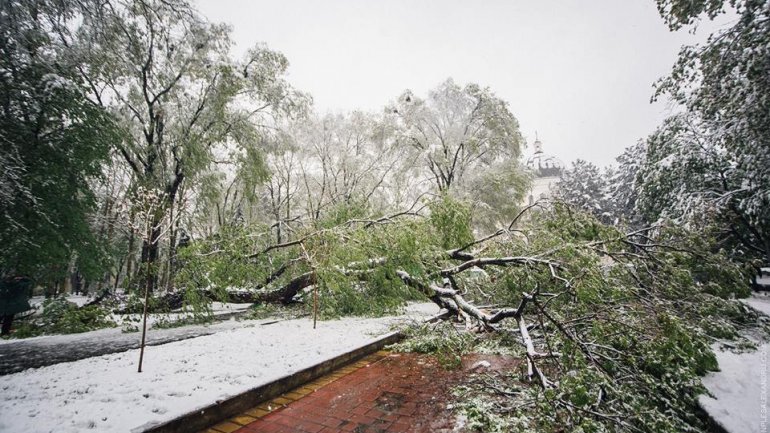 April snow causes HAVOC in Moldova (PHOTO/VIDEO)