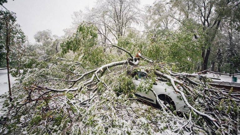 April snow causes HAVOC in Moldova (PHOTO/VIDEO)