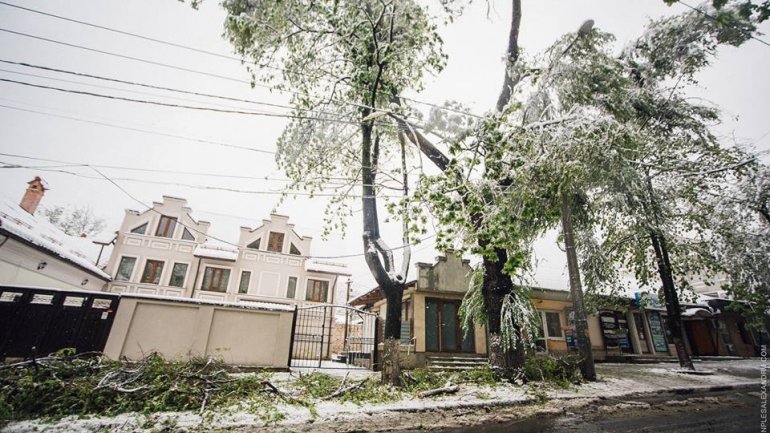 April snow causes HAVOC in Moldova (PHOTO/VIDEO)