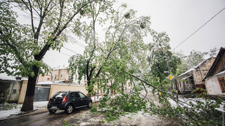 April snow causes HAVOC in Moldova (PHOTO/VIDEO)