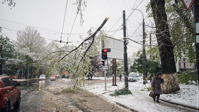 April snow causes HAVOC in Moldova (PHOTO/VIDEO)