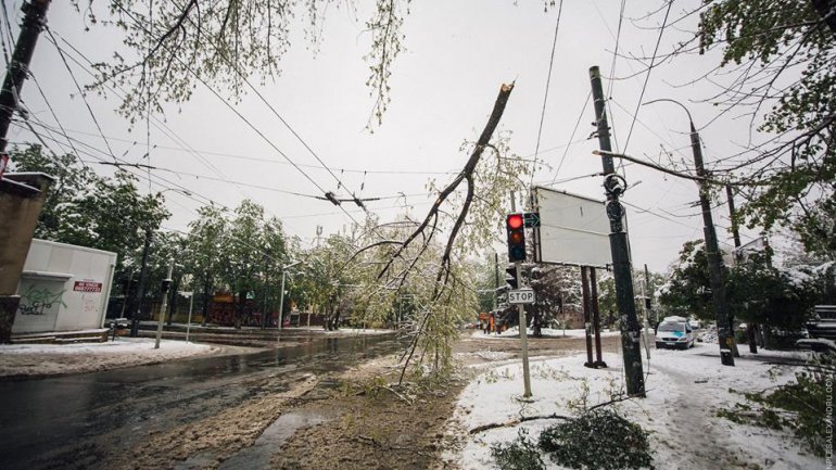 April snow causes HAVOC in Moldova (PHOTO/VIDEO)