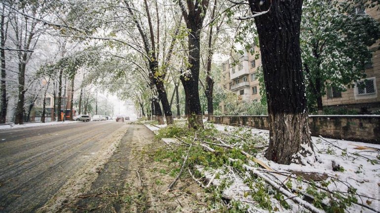 April snow causes HAVOC in Moldova (PHOTO/VIDEO)